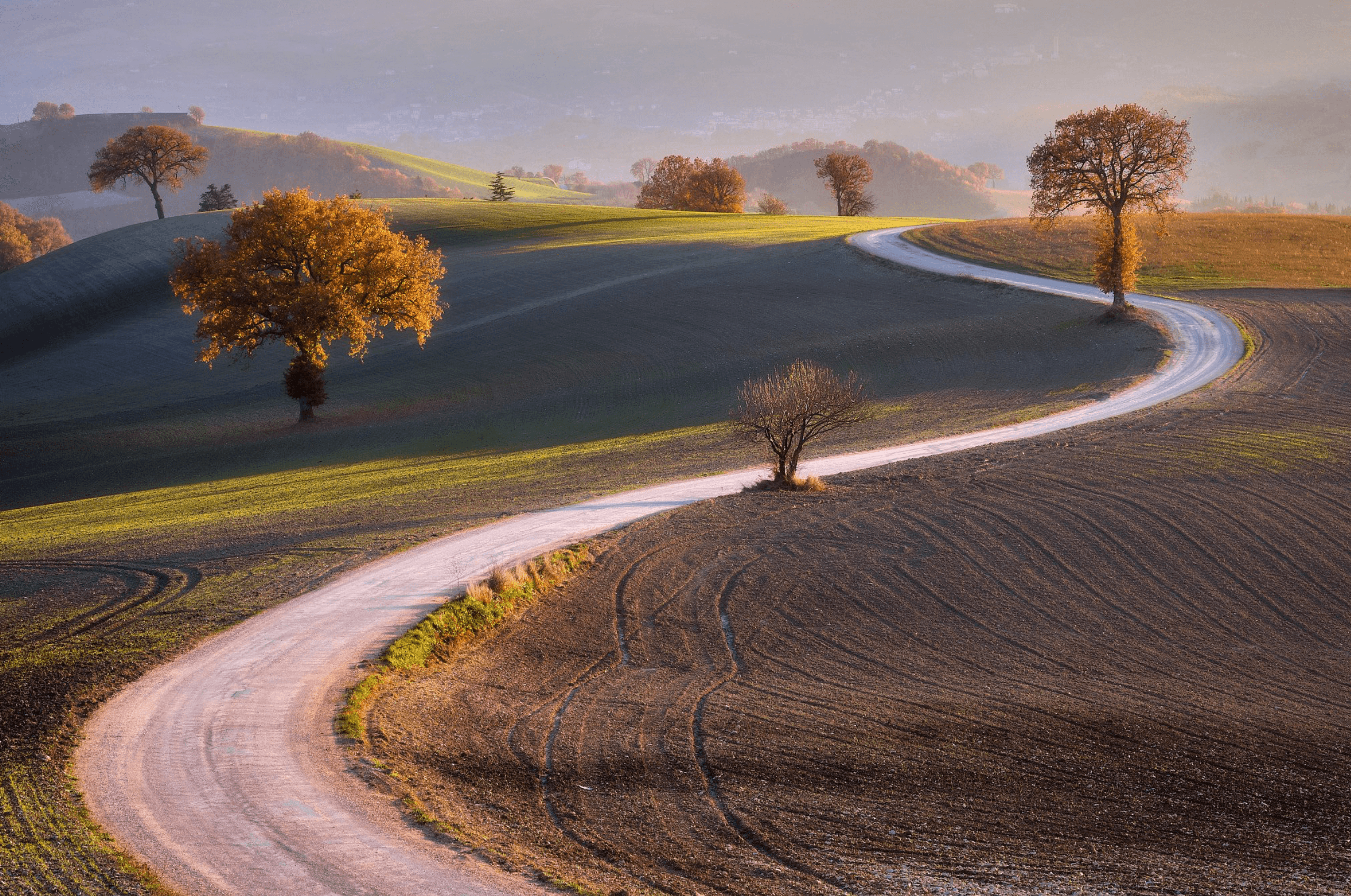 Sample Image by Onofoto.com by X-T30 II